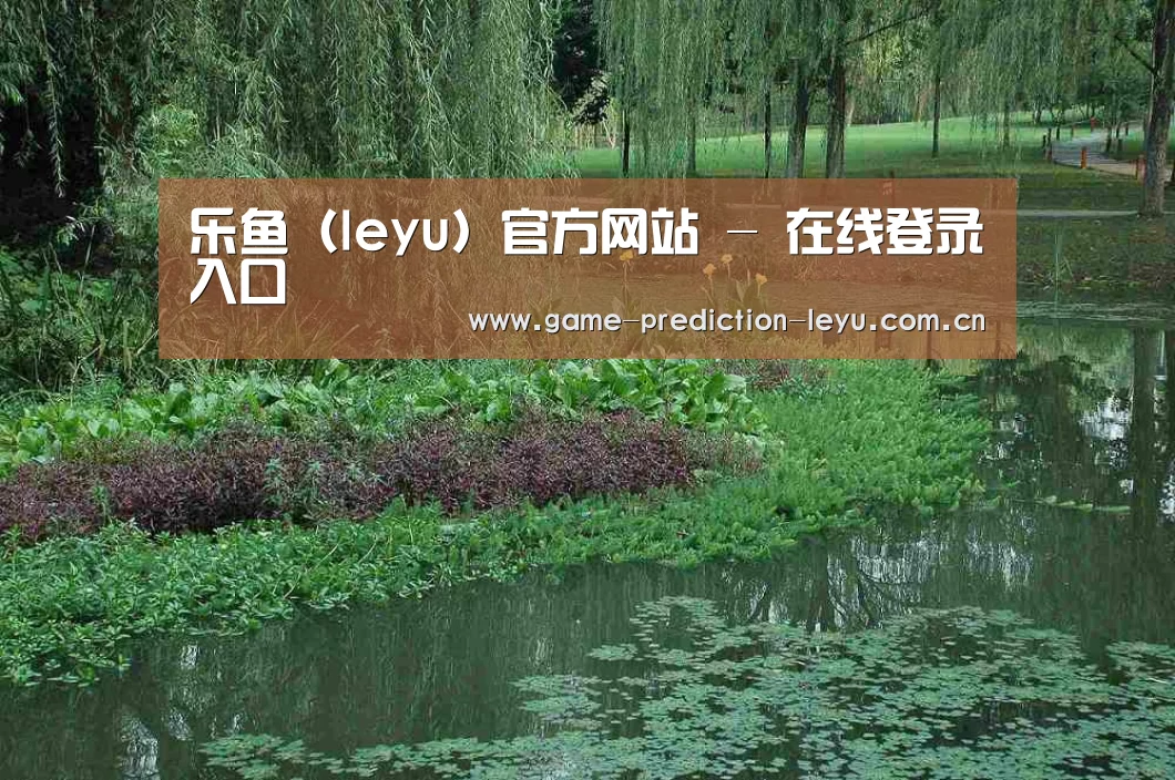 案例展示一(图1)