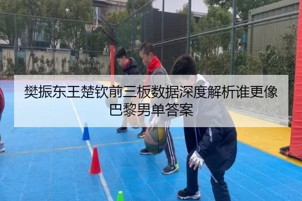 樊振东王楚钦前三板数据深度解析谁更像巴黎男单答案